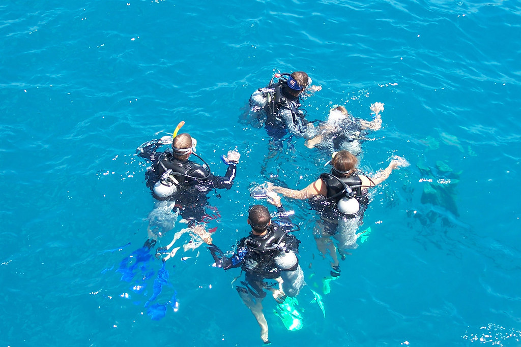 Group of scuba divers floating in the water learning how to scuba dive